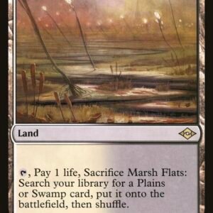 Marsh Flats