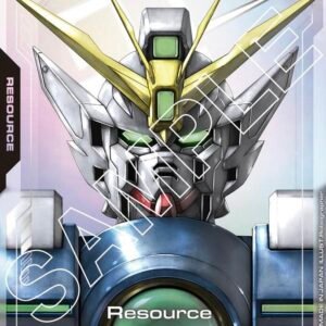 Resource (R-004) (C+)