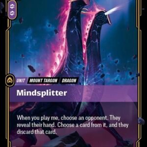 Mindsplitter