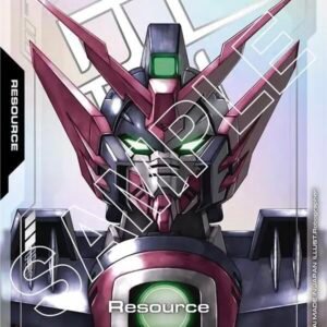 Resource (R-011) (C+)